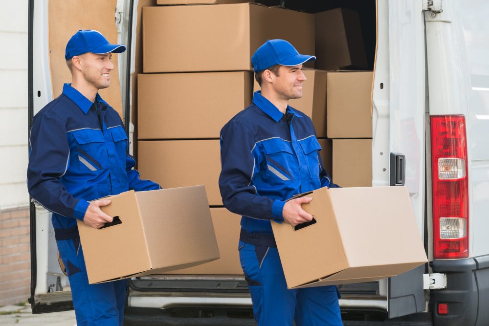 packers and movers startup