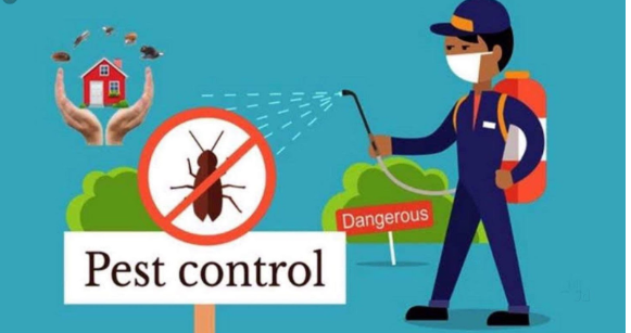 pest control