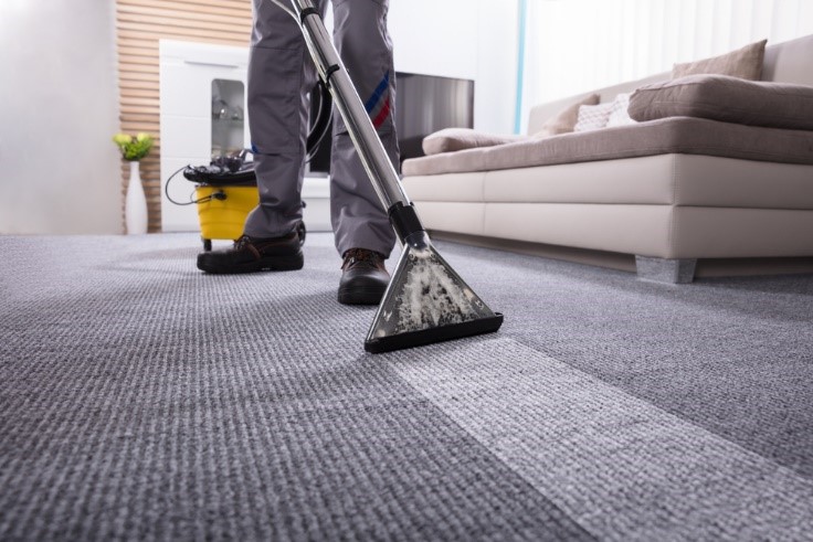 hiring professional carpet cleaner
