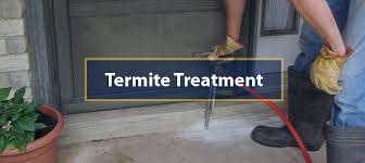 best termite control service melbourne