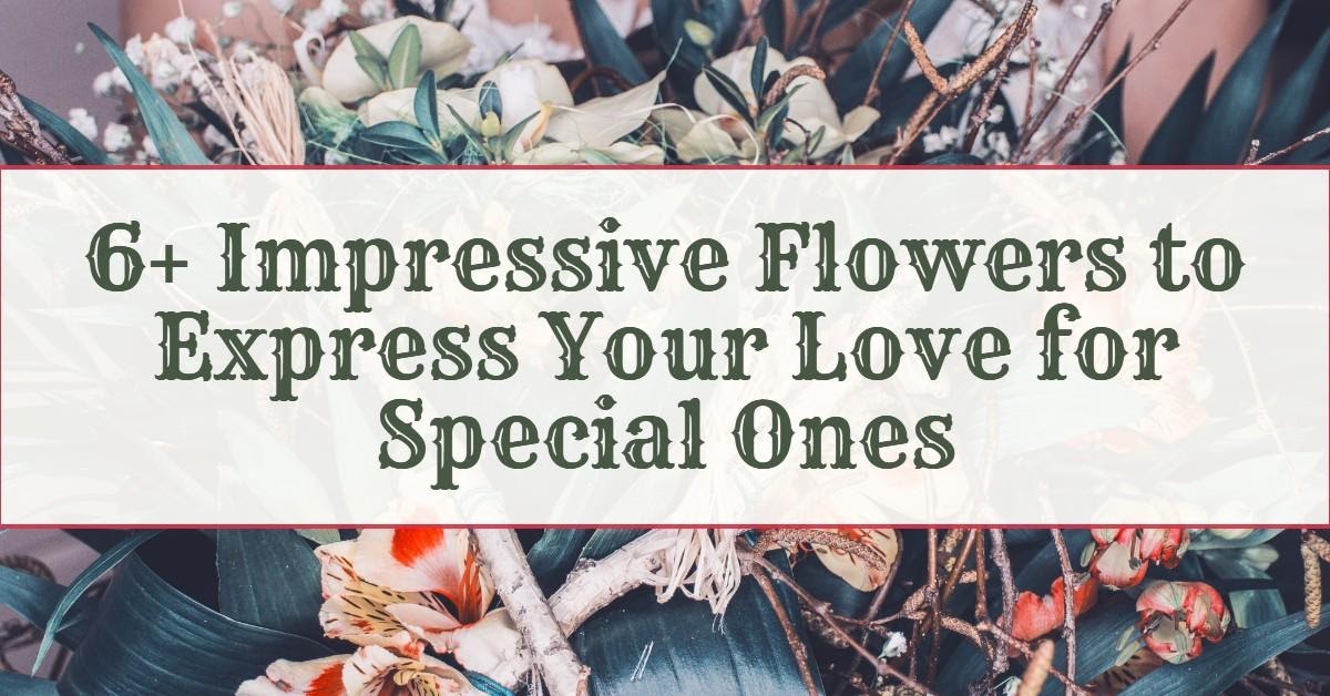 Impressive Flowers to Express Your Love for Special Ones
