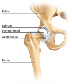 best hip replacement surgeon in Mumbai