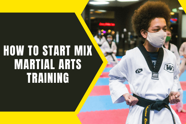 mix martial arts training