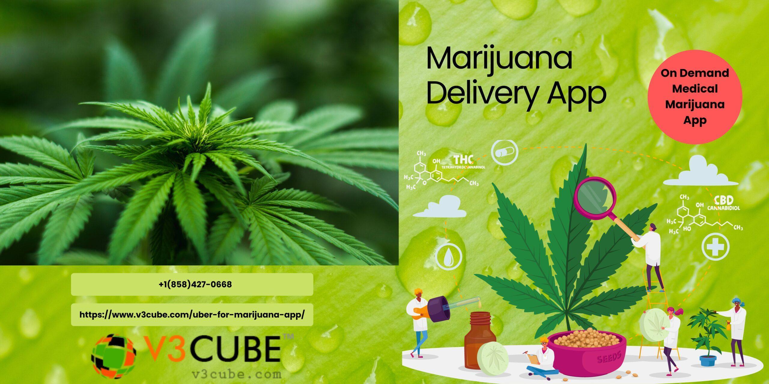 Marijuana Delivery App