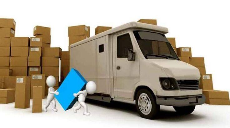 professional packers and movers