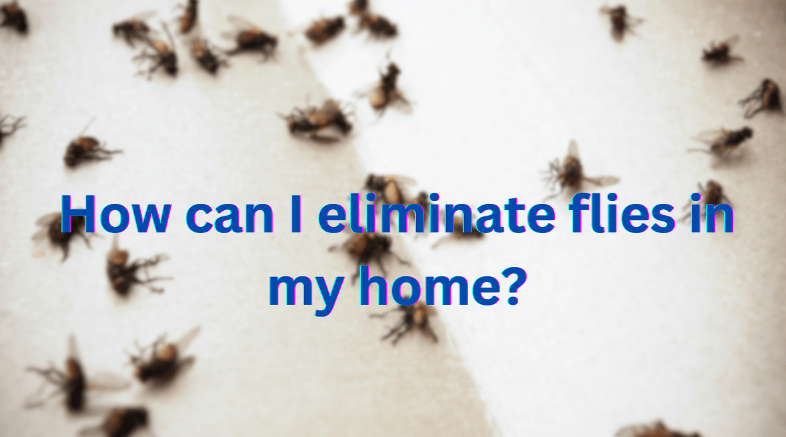Eliminate Flies