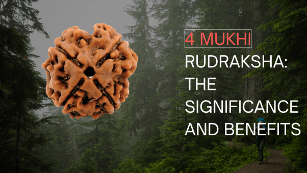 4 Mukhi Rudraksha