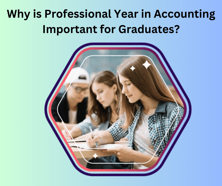 Why is Professional Year in Accounting Important for Graduates