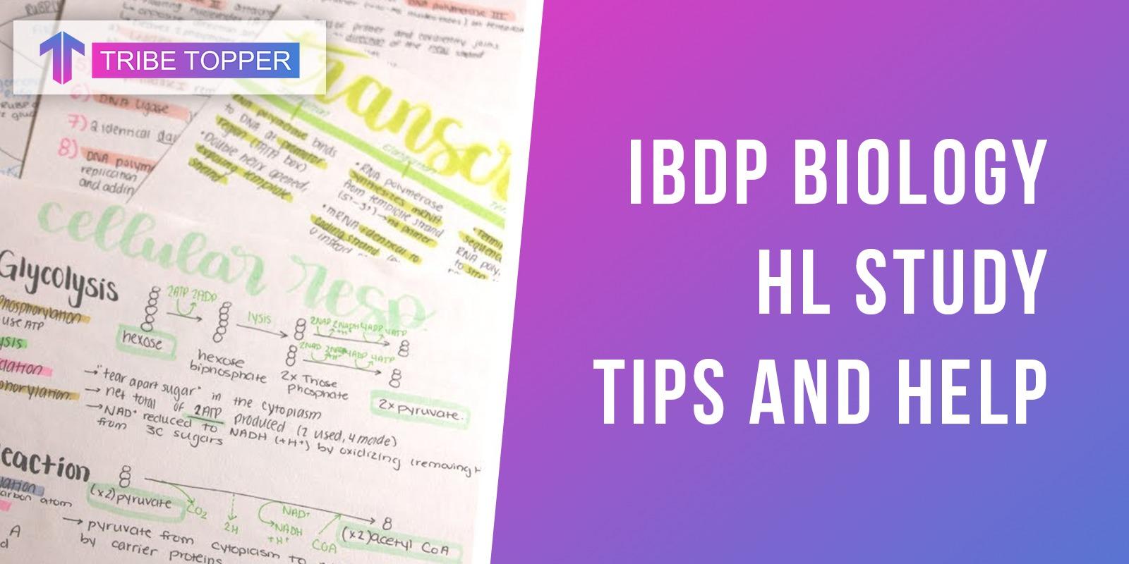 ibdp-biology-hl-study-tips-and-help