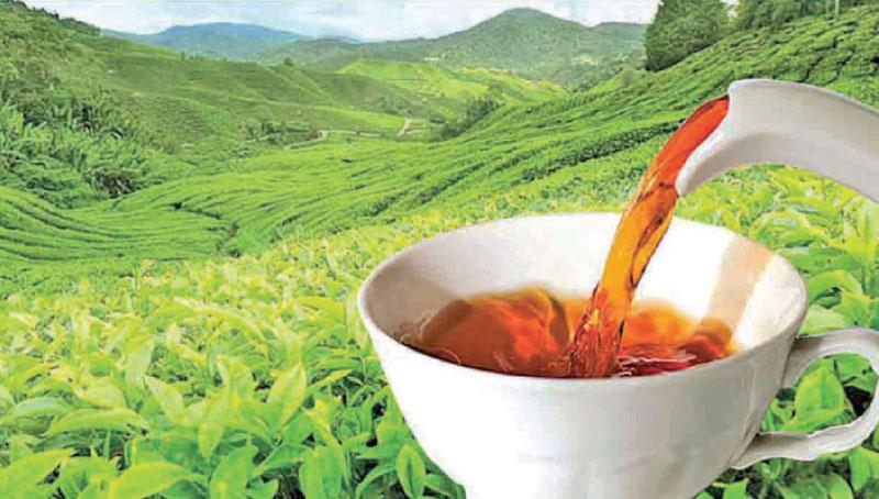 india-tea