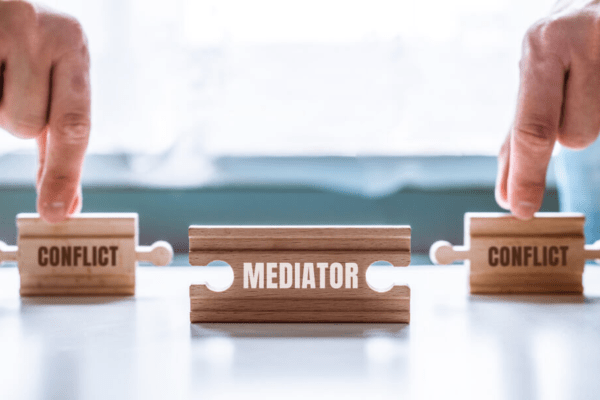 mandatory mediation program
