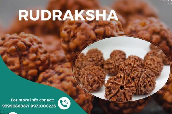 rudraksha benefits in health