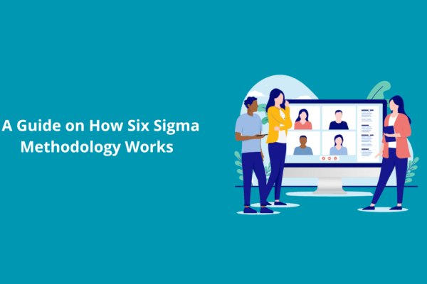 how does six sigma work
