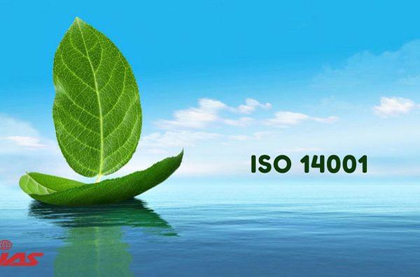 ISO 45001 lead auditor course online