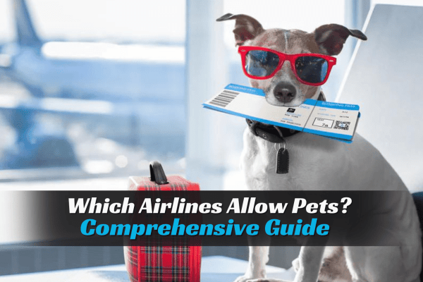 airlines allow pets