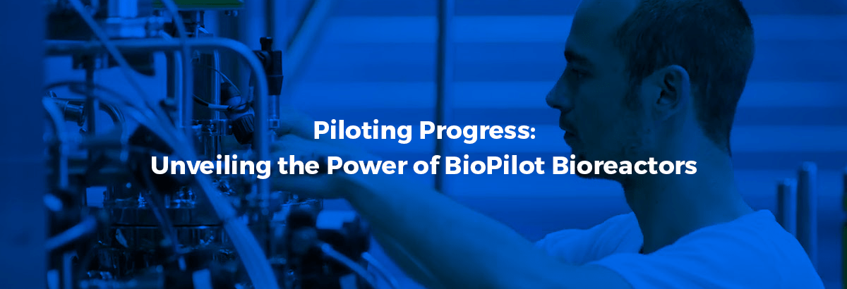 biopilot bioreactors