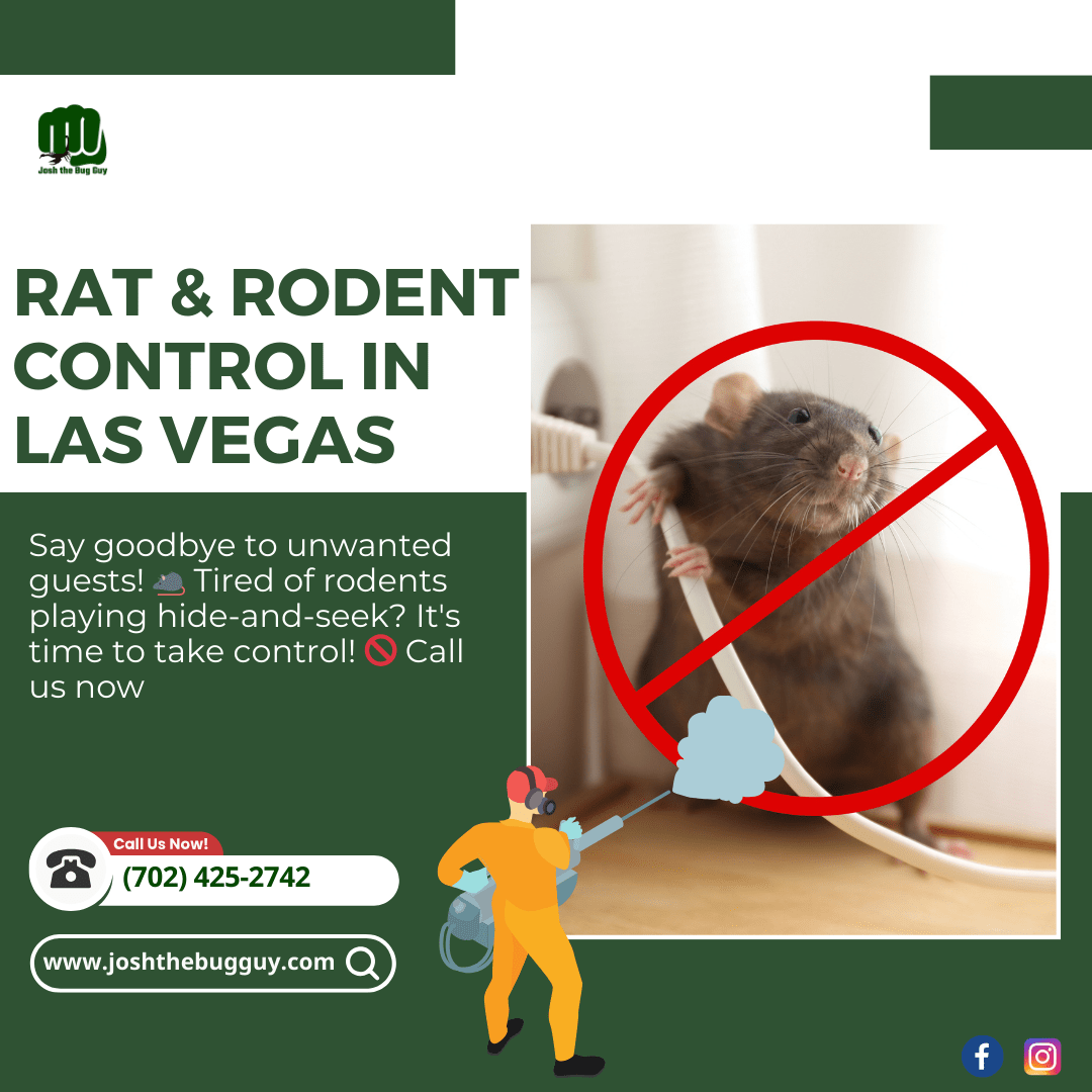 rodent control in las vegas