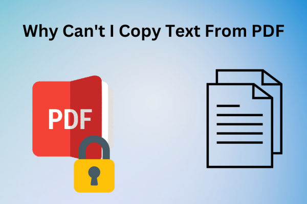 Copy Text From PDF