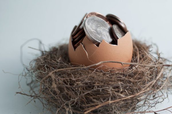 Future Financial Nest Egg