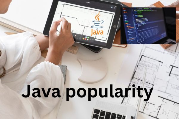Java popularity in the year 2024