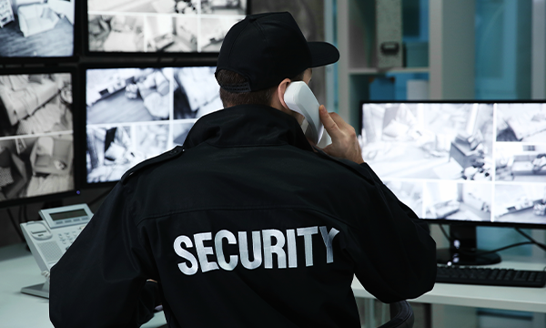 mississauga security services
