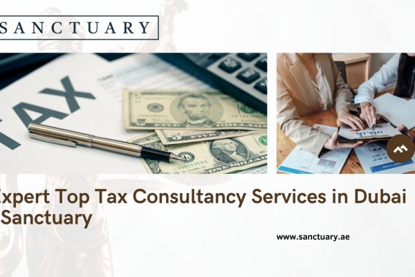 tax consultancy