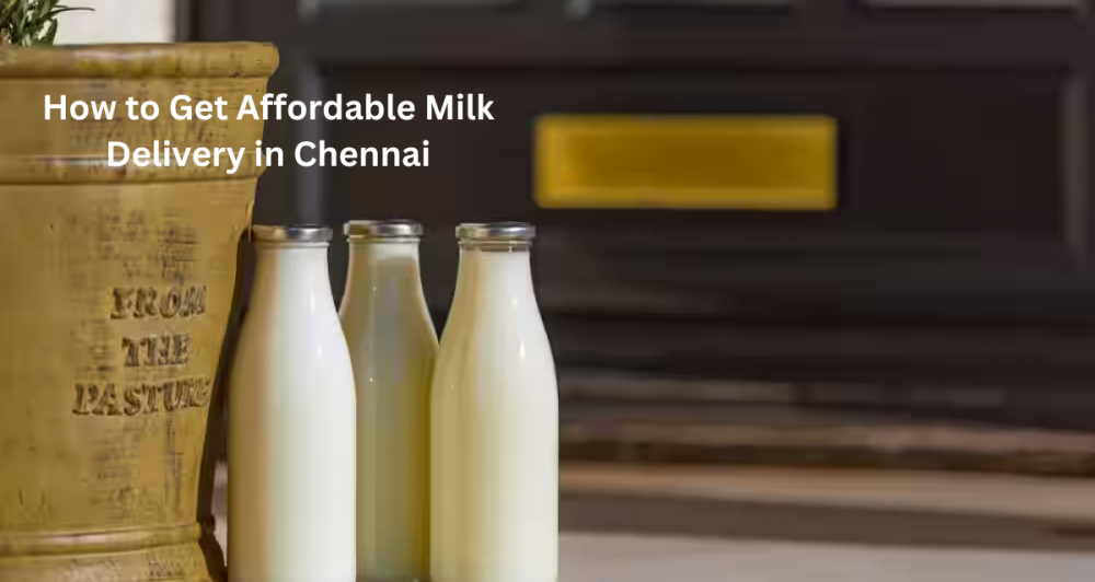 How to Get Affordable Milk Delivery in Chennai
