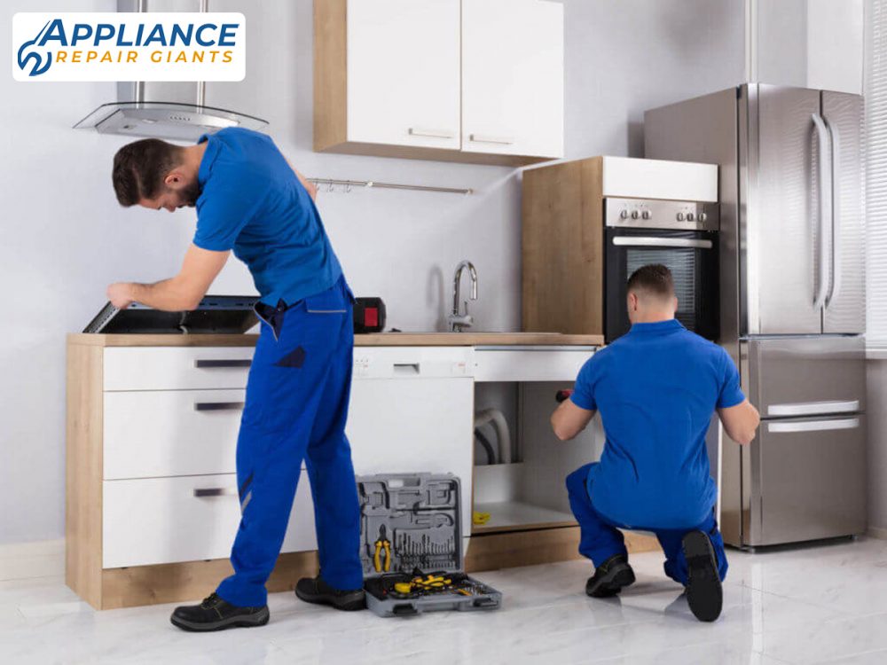 What Transpires in a Professional Appliance Repair Service?