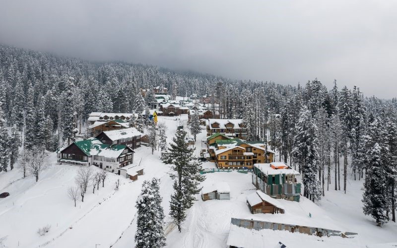 food-guide-for-kashmir