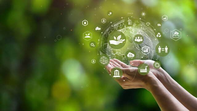 NBN and Environmental Impact: Sustainability Considerations