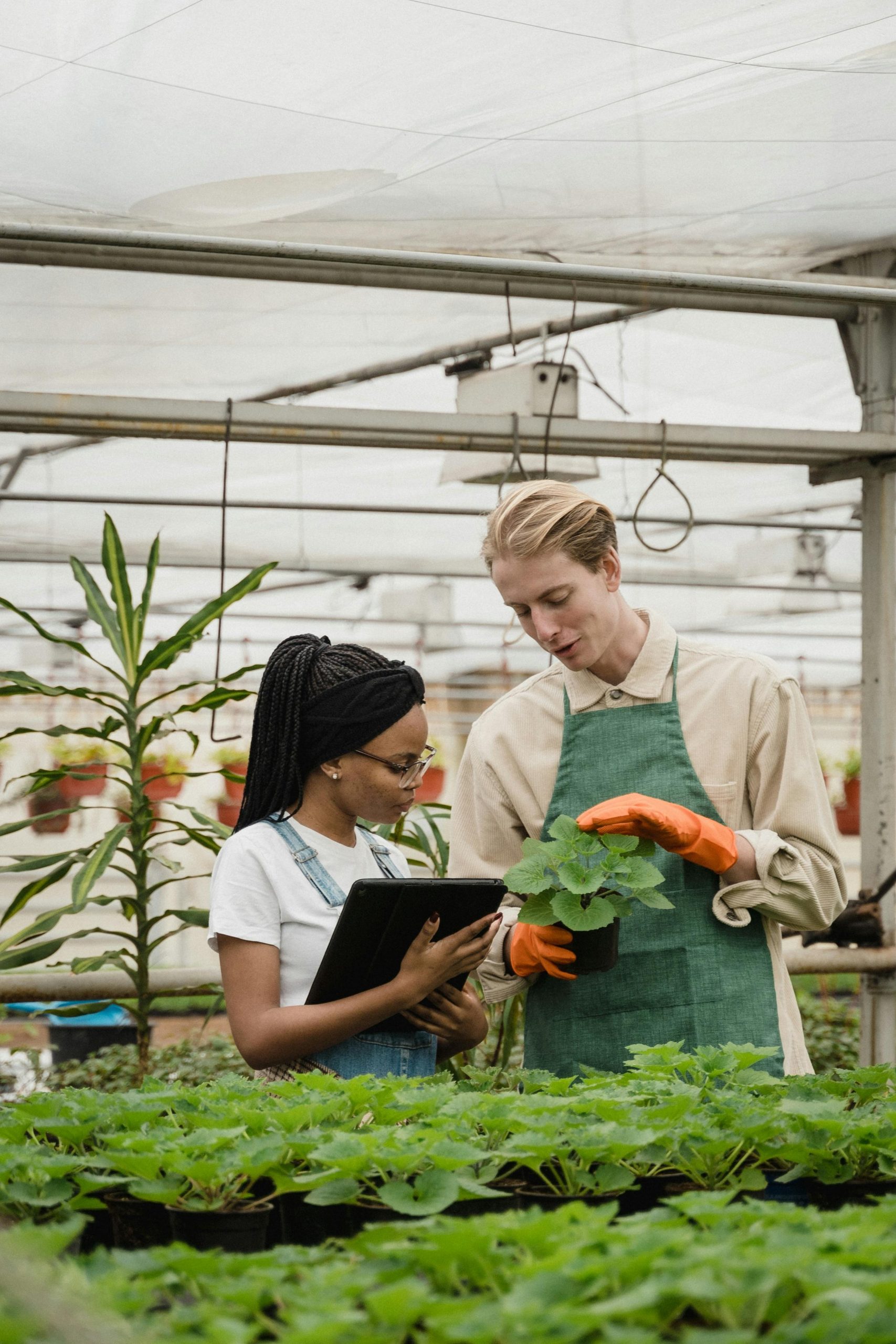 Diploma in Agricultural Engineering: Empowering the Future of Tech-Driven Farming
