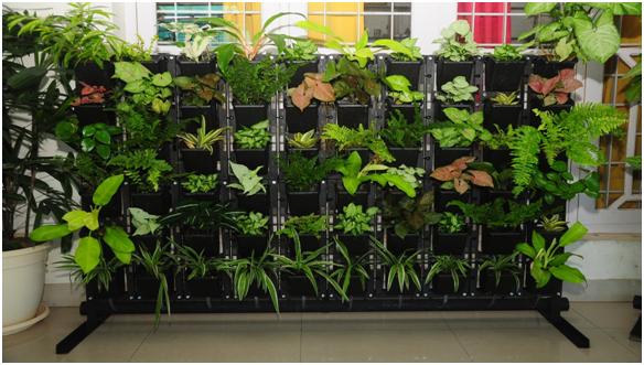 shiv shankar landscape