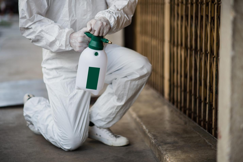 Top Signs You Need Emergency Pest Control in Lexington Homes