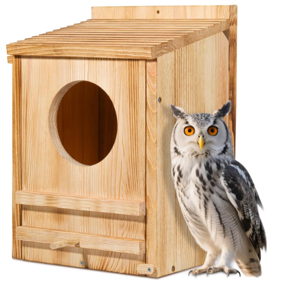 Why Is a Barn Owl Nest Box a Smart C‌hoice f‍or Properties?‌