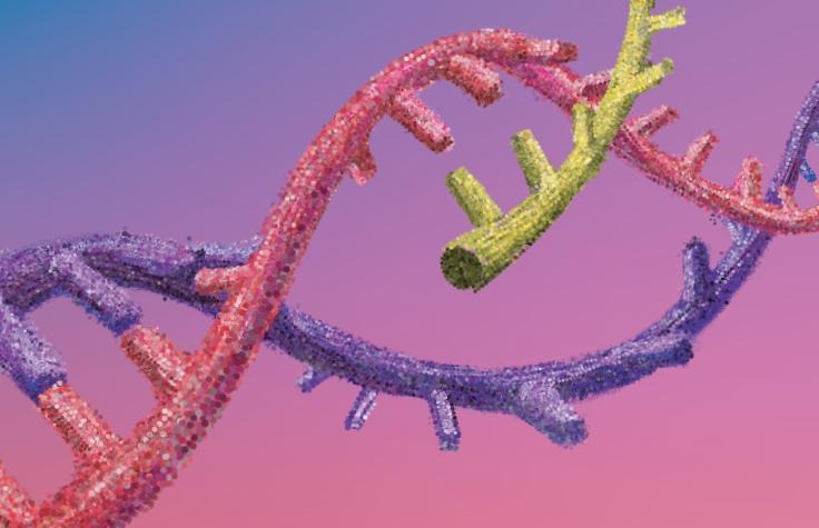 How Pharmaceutical Companies Use Gene Expression Analysis for Target Identification