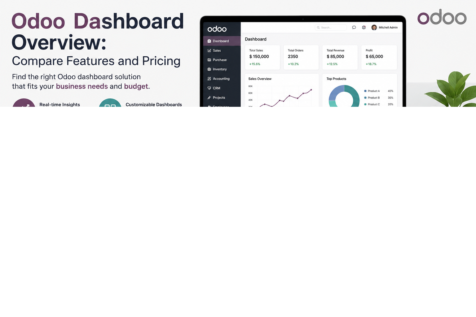 Odoo Dashboard Overview: Compare Features and Pricing