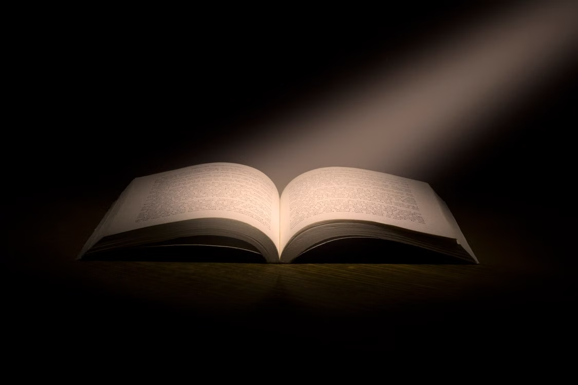 10 Unique Book Gift Ideas Every Reader Will Love